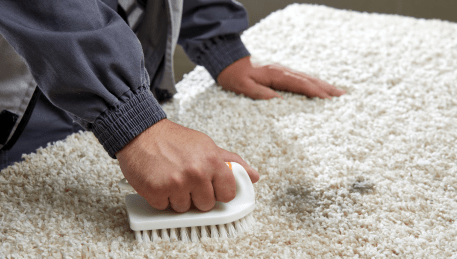 Professional Rug Cleaning Eumemmerring